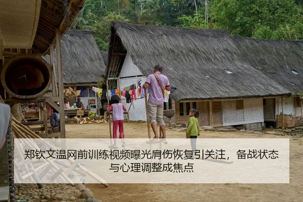 郑钦文温网前训练视频曝光肩伤恢复引关注，备战状态与心理调整成焦点